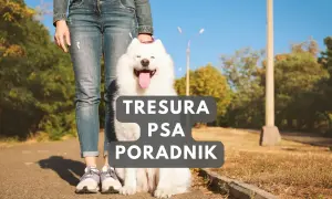 Szczęśliwy szczeniak i jego opiekun na spacerze. Poradnik "Tresura psa" pomoże Ci jak wychować szczeniaka.